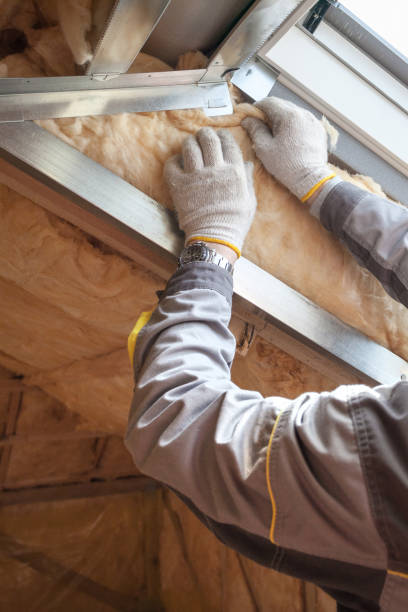 Best Insulation Removal  in Ara, AL