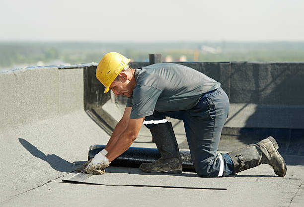 Best Attic Insulation Installation  in Ara, AL