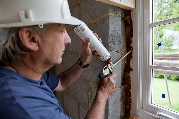 Best Insulation Replacement Services  in Ara, AL