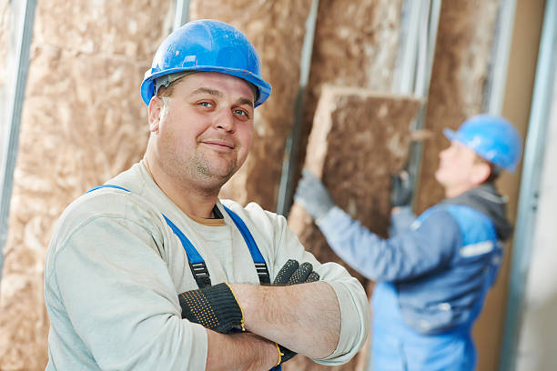 Best Crawl Space Insulation  in Ara, AL