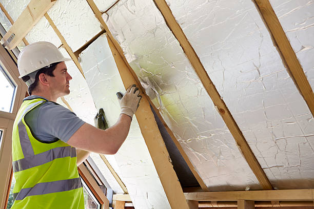 Best Affordable Insulation Services  in Ara, AL